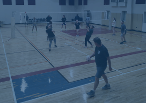 Number of adult on a playing volleyball