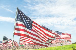 Many American Flags in a green field.