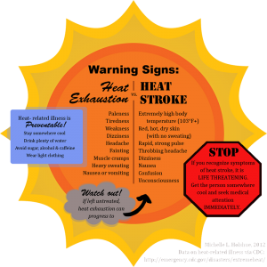Heat Strole warning signs.