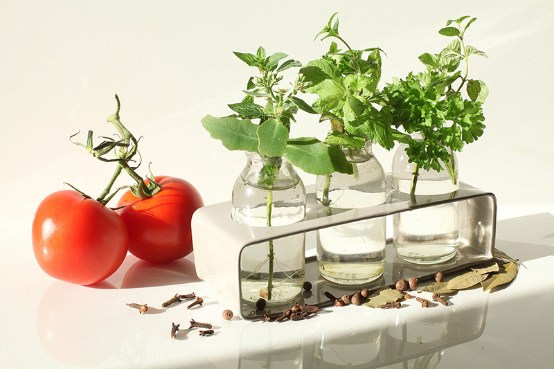 2 tomatoes with 3 different space in water jars.