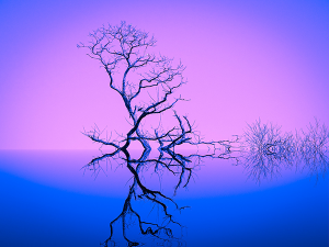 Pink and Blue leave-less tree with mirror image.