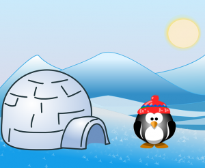Penguin outside an igloo.