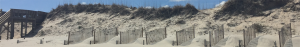 Beach with series of sand fences.