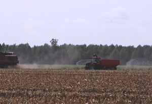 Farm equipment plowing a field.