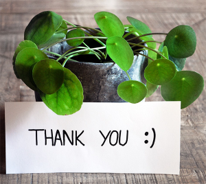 Thank you note with a smile face in front of a green plant.