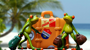 2 frogs with luggage going on holiday.